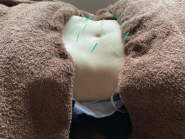 メニュー:お腹スッキリ イメージ